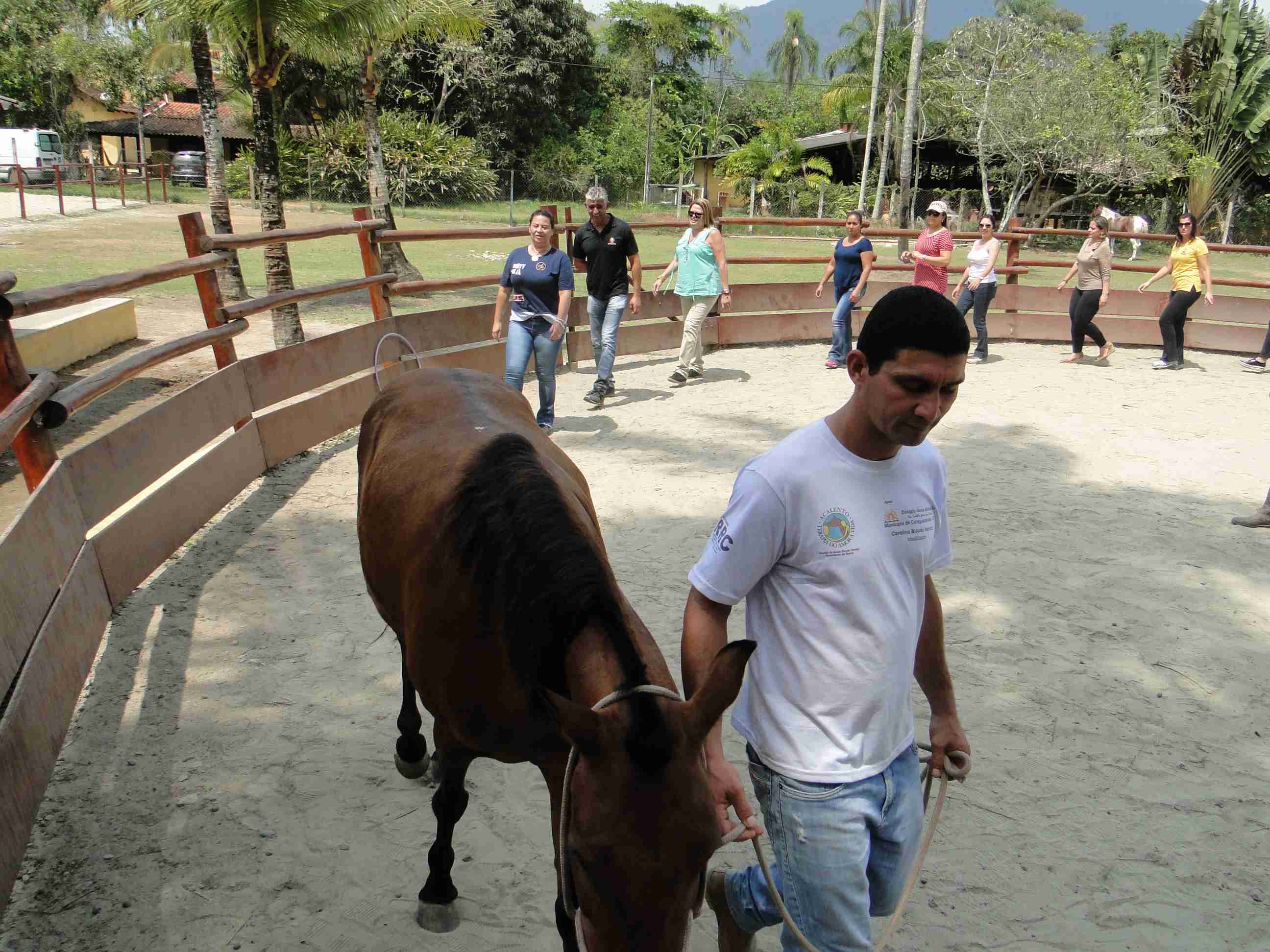 Profissionais da Secretaria de Educação participam de vivência sobre equoterapia na Acalento 