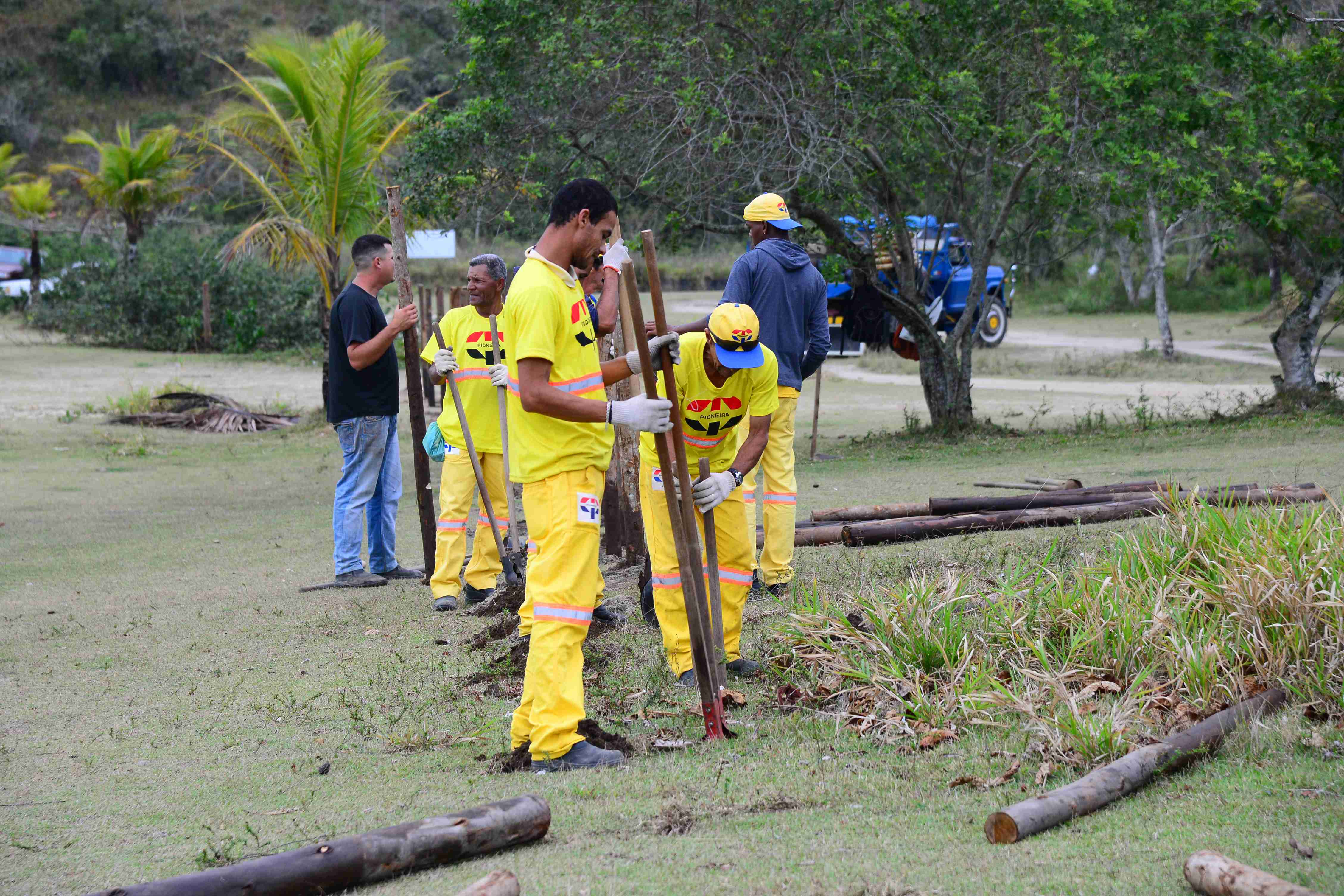 Vegetação na Praia da Mococa recebe medidas de proteção (Fotos: Cláudio Gomes/PMC)