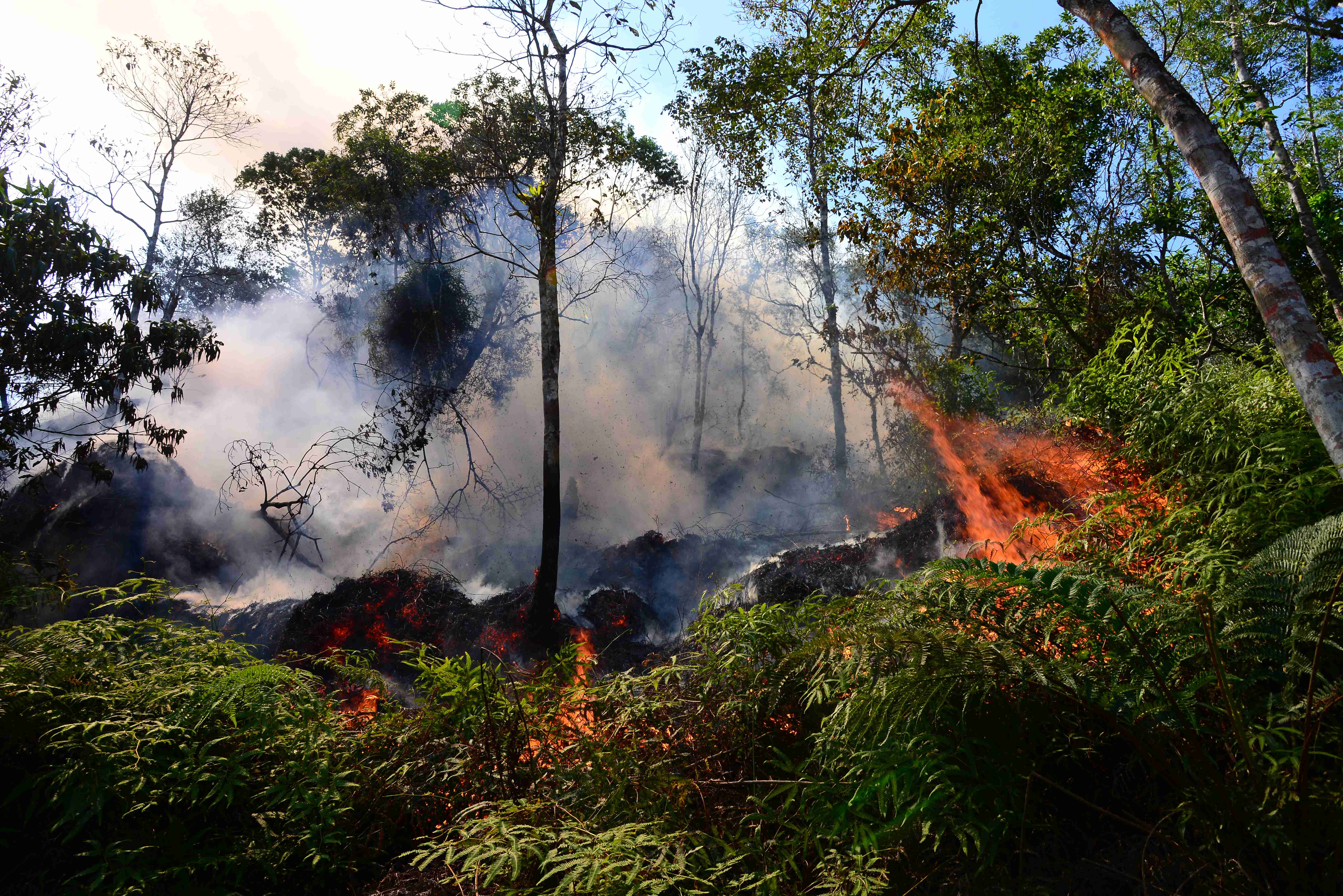 Equipes da Prefeitura ajudam no combate ao incêndio no Morro Santo Antônio