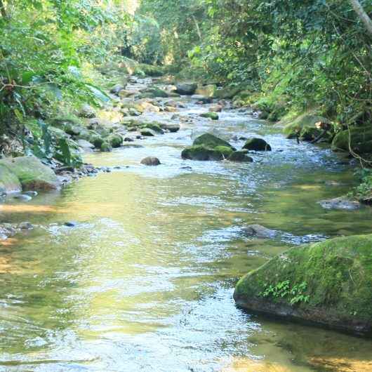 Caraguatatuba faz testes para Covid-19 em monitores do Parque Estadual Serra do Mar