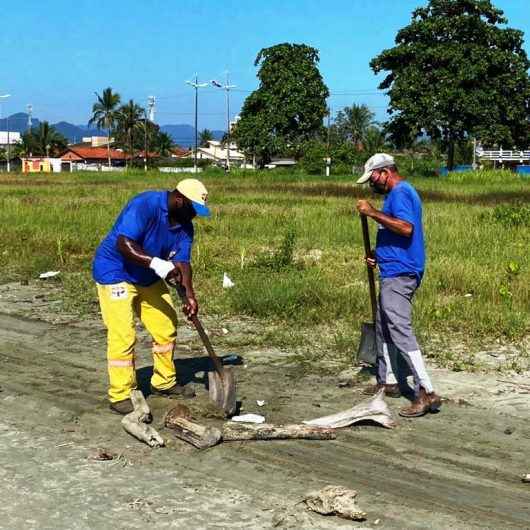 Mutirão de limpeza de praias recolhe cerca de 600 toneladas de material em Caraguatatuba