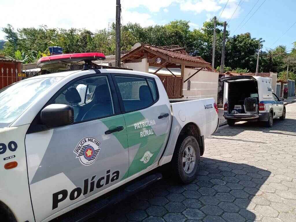 Cavalo é resgatado em situação de maus tratos, em Caraguatatuba