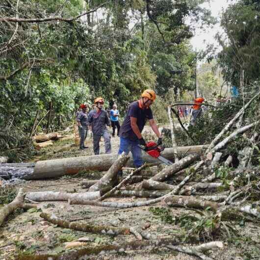 Equipes da Prefeitura de Caraguatatuba finalizam trabalhos em áreas atingidas por rajadas de ventos de 70 km/h