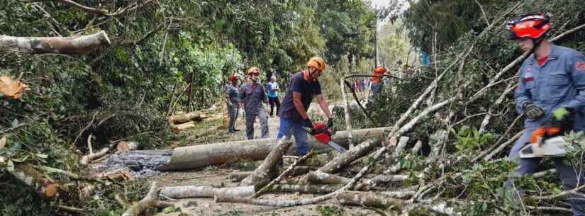 Equipes da Prefeitura de Caraguatatuba finalizam trabalhos em áreas atingidas por rajadas de ventos de 70 km/h