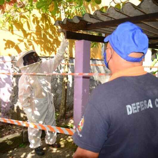 Atendimentos da Defesa Civil de Caraguatatuba reduzem quase a metade em novembro