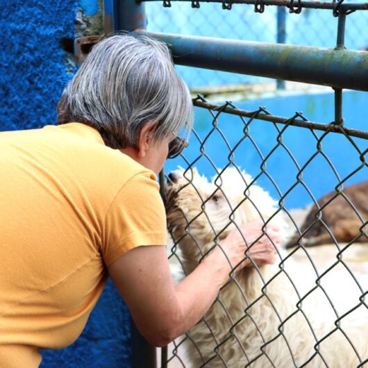 CCZ de Caraguatatuba encaminha 53 animais para adoção neste ano