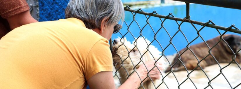 CCZ de Caraguatatuba encaminha 53 animais para adoção neste ano