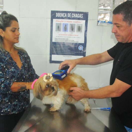 Prefeitura de Caraguatatuba abre agendamento para 200 vagas de castração de cães e gatos nesta sexta-feira