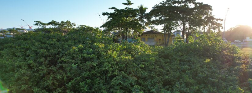 Projeto Restinga de Caraguá: Prefeitura realiza estudos para restaurar vegetação nativa e preservar orla