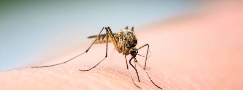 Caraguatatuba confirma terceira morte por dengue