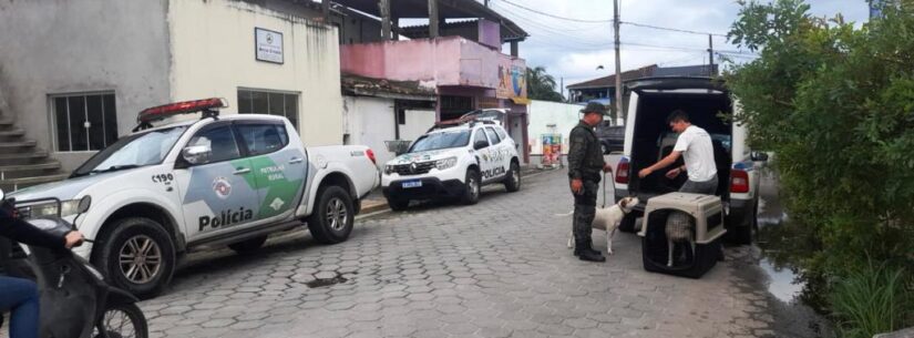 CCZ de Caraguatatuba aplica mais de R$ 100 mil em multas e recolhe 130 animais em situação de maus tratos neste ano
