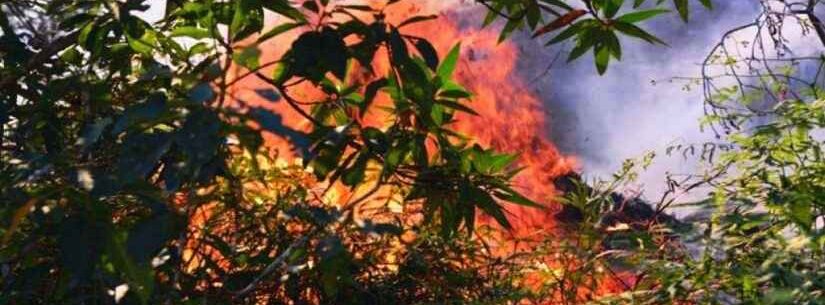 Prefeitura de Caraguatatuba alerta para tempo seco e riscos de queimadas
