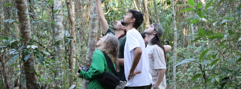 Semana do Meio Ambiente é comemorada com palestras, plantios de árvores e ações no Parque Juqueriquerê