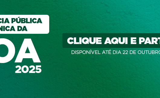 Audiência Pública Eletrônica da LOA 2025