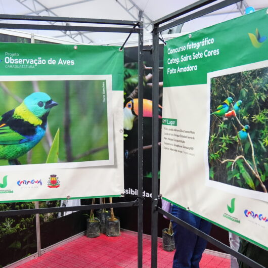 Parque Juqueriquerê participa do Empreenda Caraguatatuba e doa mais de 300 mudas nativas