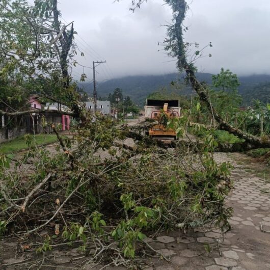 Prefeitura faz rescaldo de limpeza na cidade, após ventos fortes da semana passada