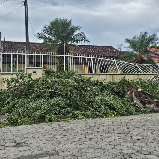 Defesa Civil de Caraguatatuba monitora cidade por contas de chuvas e ventos