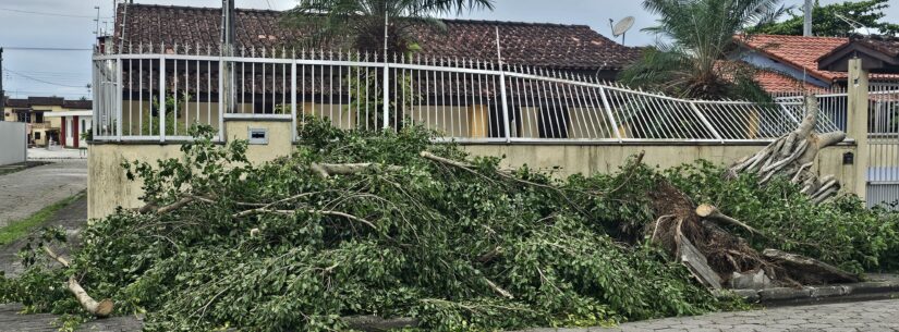 Defesa Civil de Caraguatatuba monitora cidade por contas de chuvas e ventos