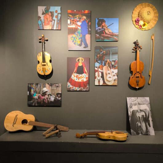 Exposições “Emaranhadas”, “Olhares de Ennio Angelo” e “Frondosa” seguem em fevereiro no MACC