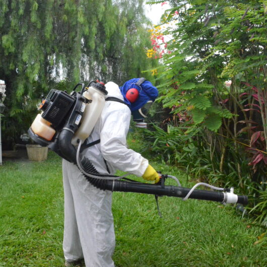 Escolas Municipais reforçam medidas de prevenção e combate à dengue