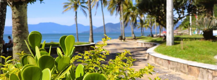 Martim de Sá é destaque nacional como segunda praia mais avaliada do Brasil por usuários do Google Maps