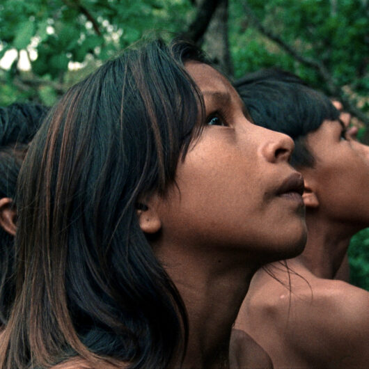 Filme premiado em Festival de Cannes, 