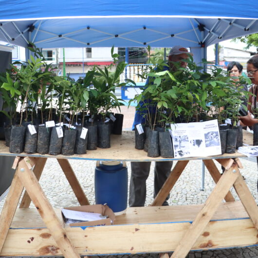 Caraguatatuba recebe mil mudas de plantas nativas como parte de compensação ambiental